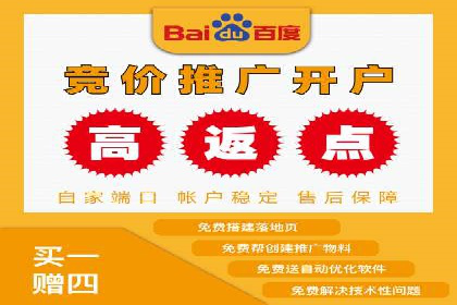 谷歌竞价广告在电商行业的运用案例
